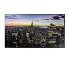 Ecran Samsung DM 75